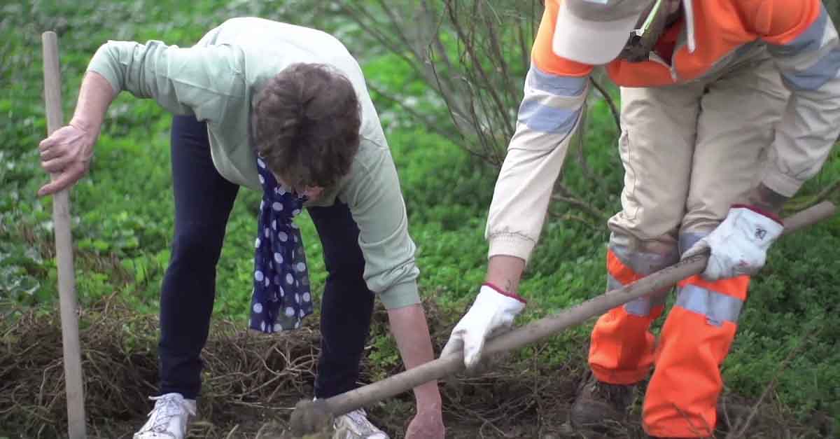 En marcha la Reforestación de la Puerta Verde de la Ruta Enoturística de El Puerto