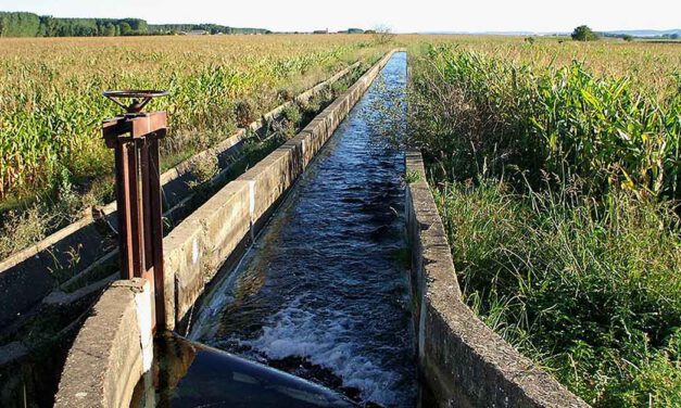 Las comunidades de regantes de El Puerto podrán optar a acogerse a subvenciones de la Junta