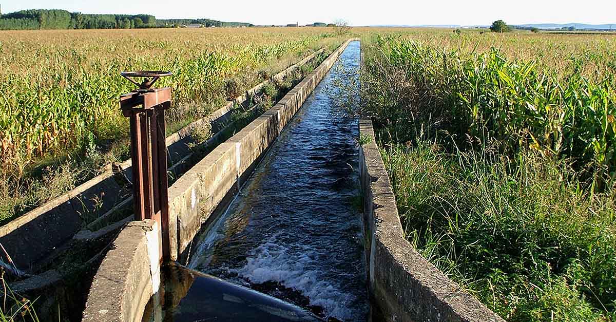 Las comunidades de regantes de El Puerto podrán optar a acogerse a subvenciones de la Junta