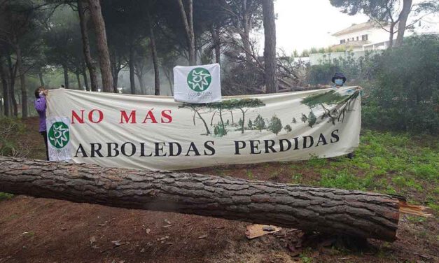 Ecologistas en Acción paraliza la tala de pinos en las Dunas de San Antón