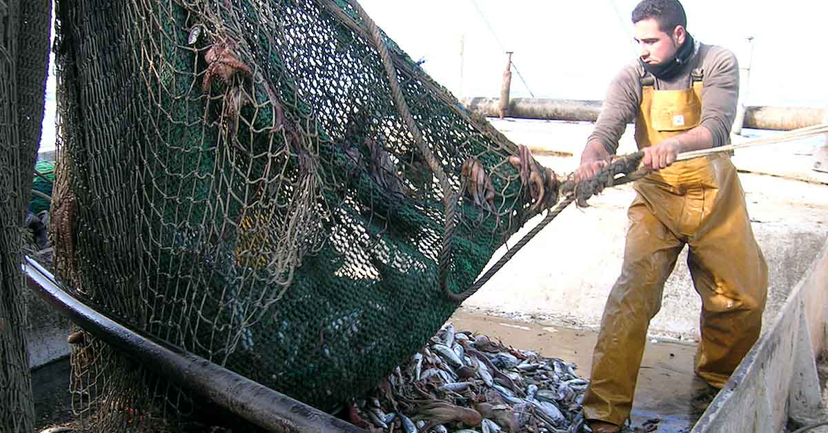 El Puerto muestra su apoyo al sector pesquero contra la nueva limitación en la pesca de arrastre