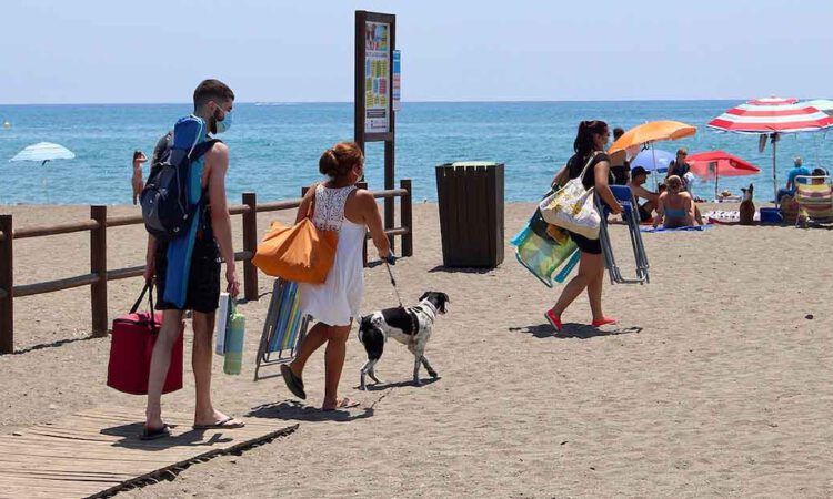 El PSOE insiste en el proyecto de playa canina para El Puerto