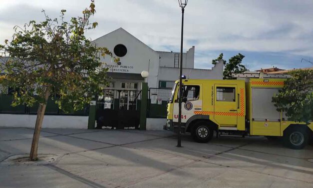 Bomberos extinguen un incendio en dos contenedores junto al C.E.I.P. Sericícola
