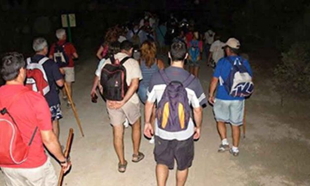 El 1 de julio comienza el programa ambiental Aventura Nocturna en Los Toruños