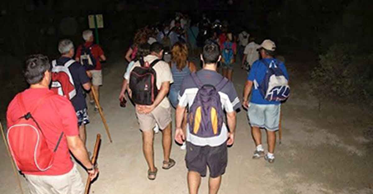El 1 de julio comienza el programa ambiental Aventura Nocturna en Los Toruños