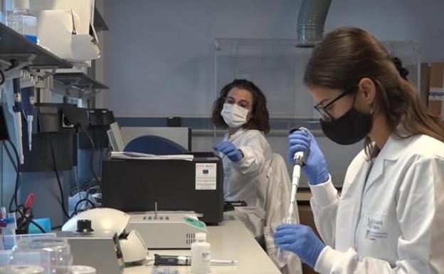 La tasa Covid sube en Andalucía a 376, unos 117 puntos más que hace una semana