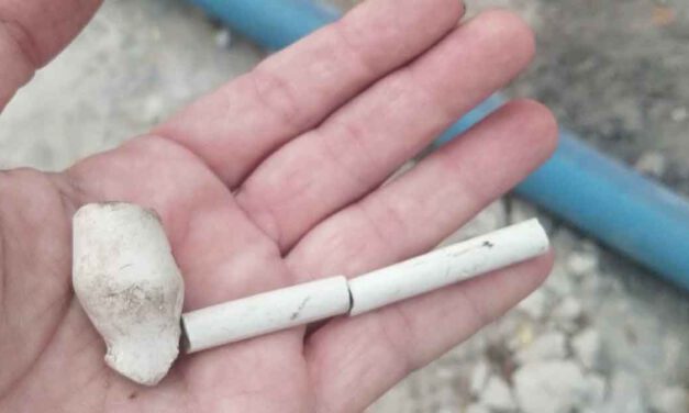 Hallados restos cerámicos de los siglos XVI-XIX en la calle Fernán Caballero