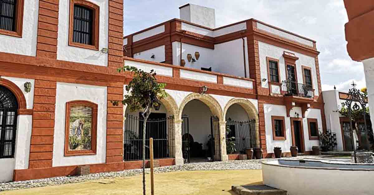 Turismo organiza una actividad para vendimiar en familia en La Bendita Locura