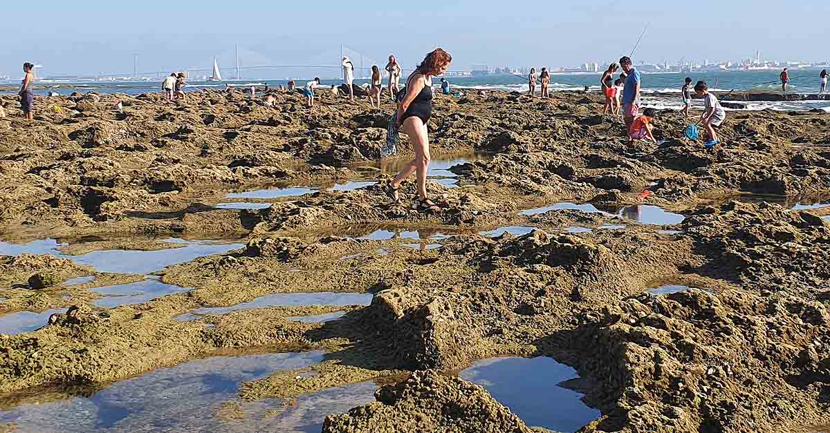 Ecologistas en Acción denuncia el "marisqueo de ocio" en las playas de El Puerto