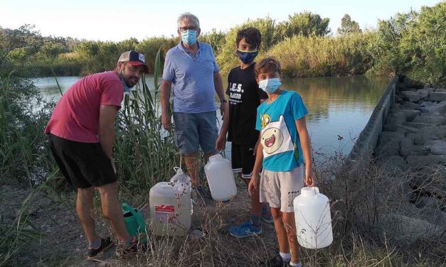 ARBA, Asociación para la Recuperación del Bosque Autóctono, plantó unos 300 árboles en los dos últimos años