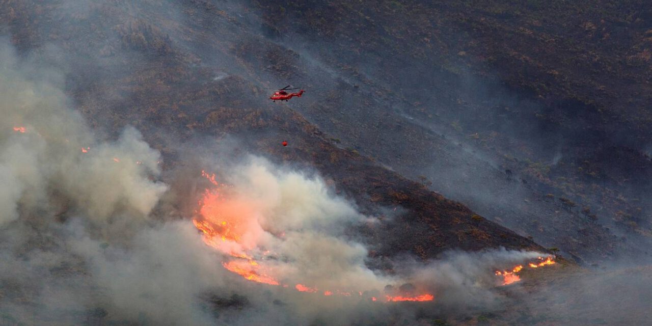 El Infoca da por controlado el incendio en Sierra Bermeja