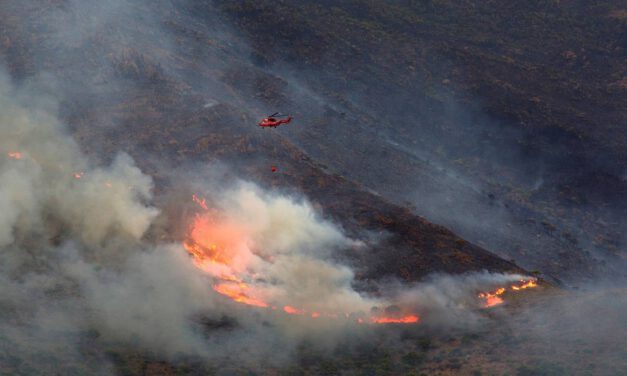 El Infoca da por controlado el incendio en Sierra Bermeja