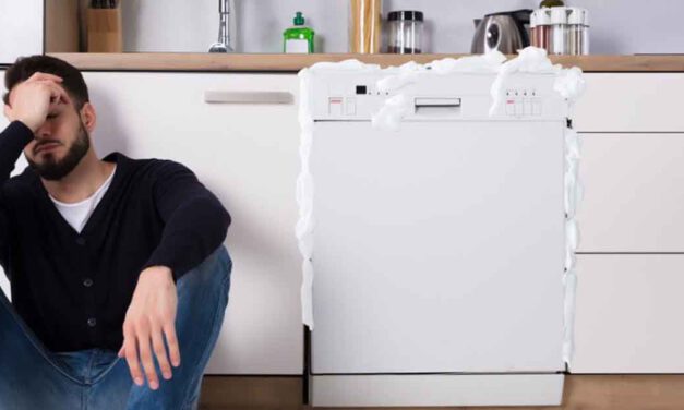 Estire la vida útil de sus electrodomésticos desde su hogar