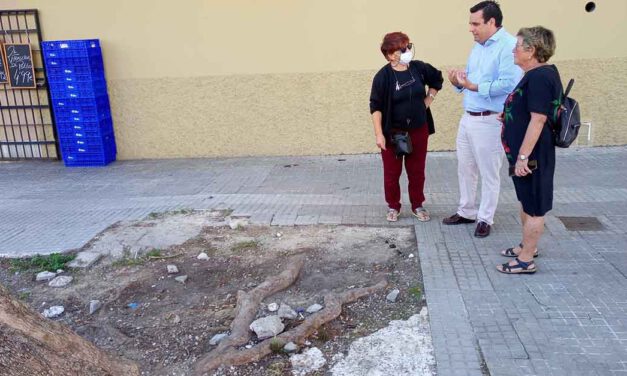 La Flave reclama a Curro Martínez más mantenimiento urbano ante el estado de deterioro que sufre El Puerto