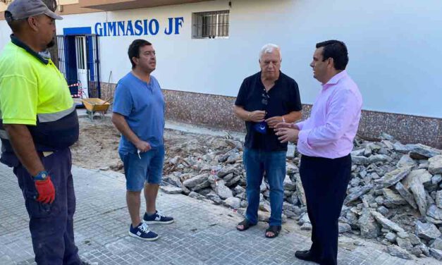 Nuevo acerado en la calle Pintor Enrique Ochoa en la zona de Malacara