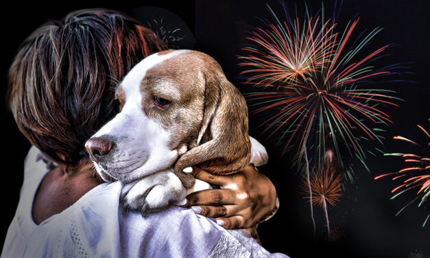 Fuegos artificiales de bajos decibelios en El Puerto por las personas con hipersensibilidad auditiva y mascotas