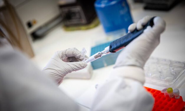 Andalucía estudia seis casos sospechosos de viruela del mono