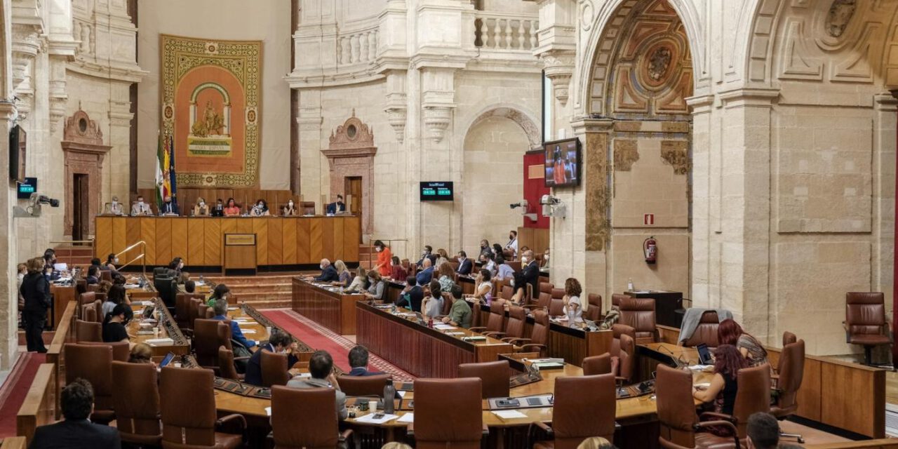 El 28,4% de los parlamentarios electos el 19J repite en la nueva legislatura