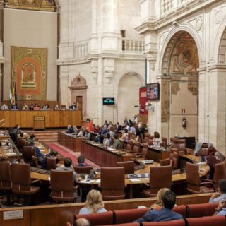 El 28,4% de los parlamentarios electos el 19J repite en la nueva legislatura