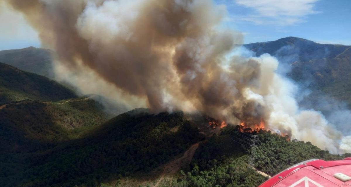 Desalojan el casco urbano de Benahavís y tres urbanizaciones por el incendio de Pujerra
