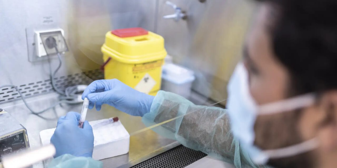 Aumentan a 273 los casos activos del viruela del mono