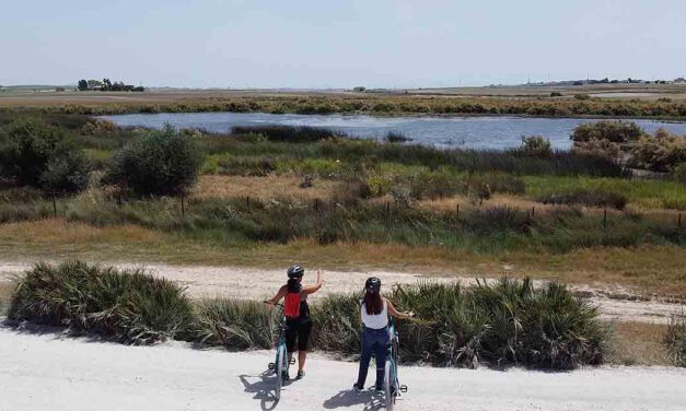 Medio Ambiente organiza una nueva ruta en bici: Lagunas de El Puerto bajo las estrellas