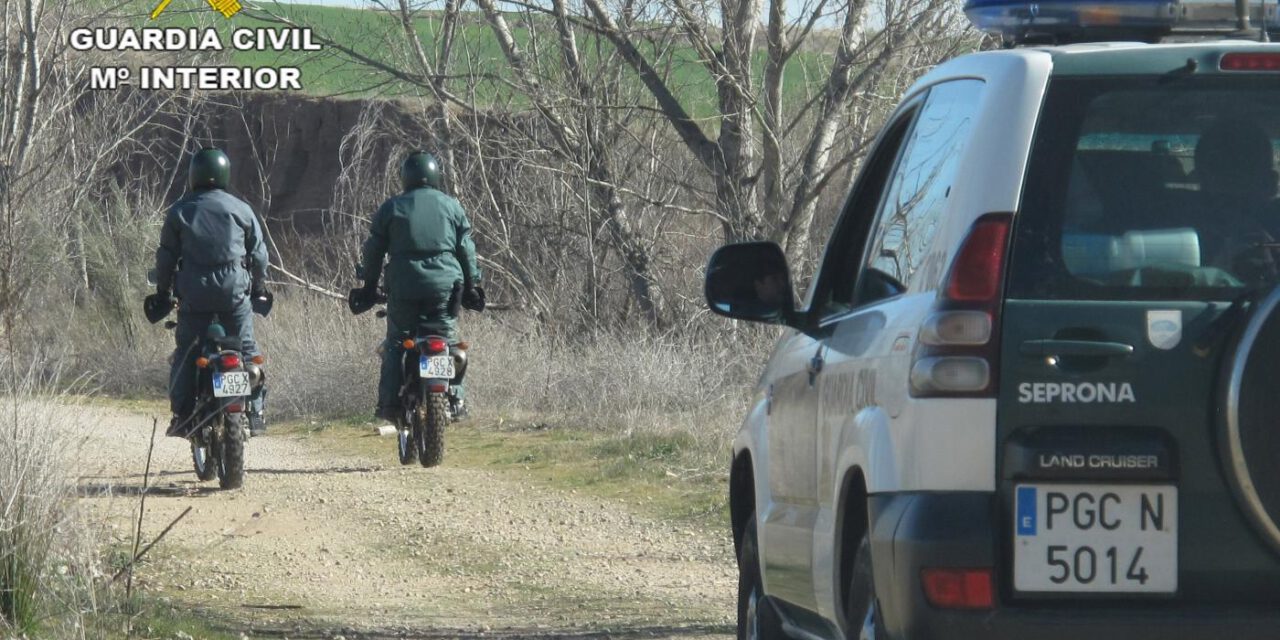 Le sorprenden apostado en un árbol para cazar ciervos y jabalíes en Doñana