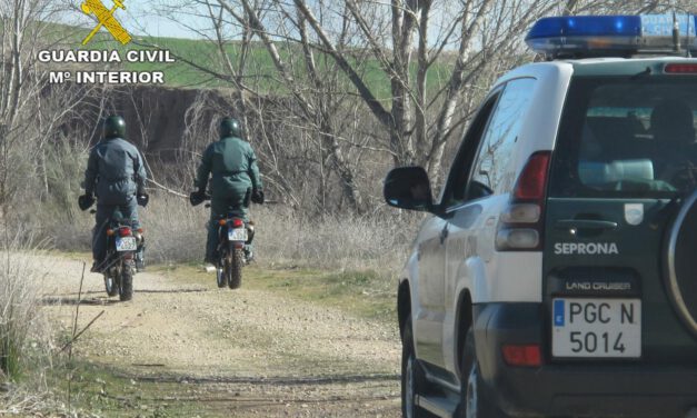 Le sorprenden apostado en un árbol para cazar ciervos y jabalíes en Doñana