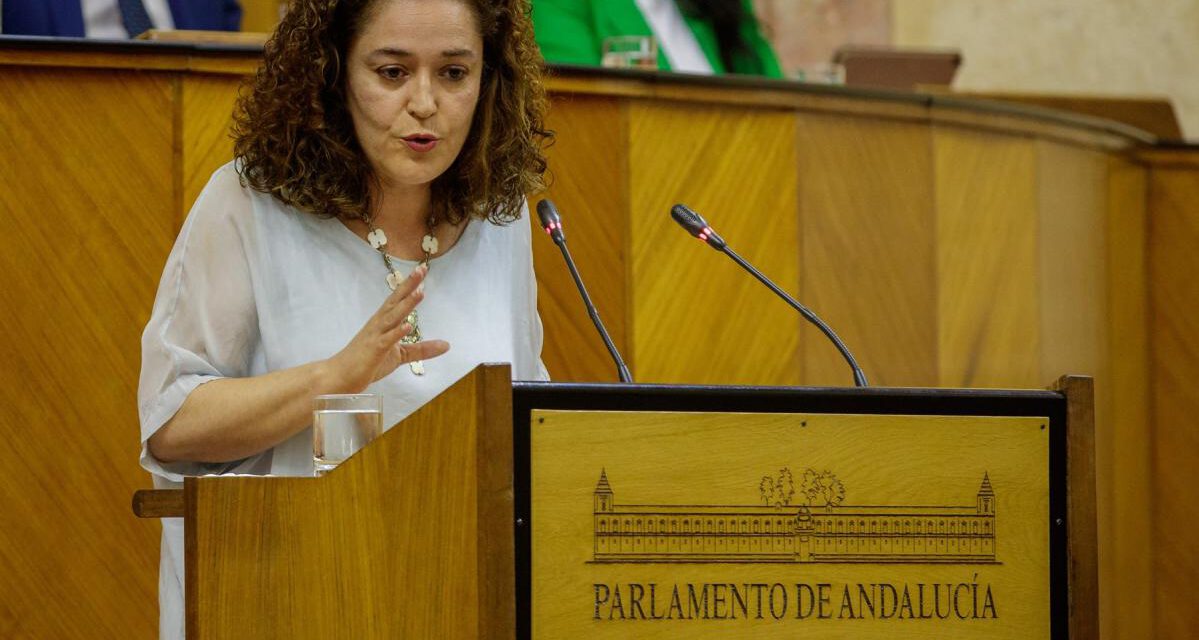 Inma Nieto (IU) niega una ruptura con Podemos pero sí hay "quiebra de confianza"