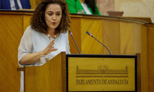 Inma Nieto (IU) niega una ruptura con Podemos pero sí hay "quiebra de confianza"