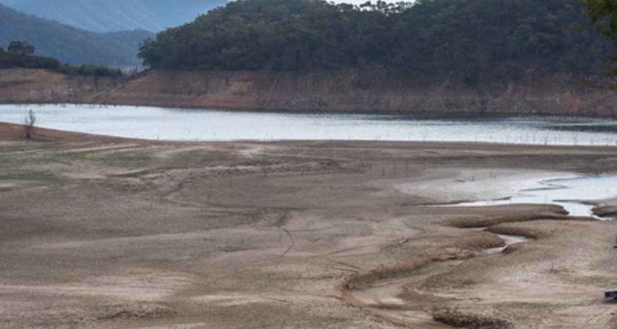 Sequía: Ecologistas afirman que la Junta "excluye" del comité "a los verdaderos expertos"