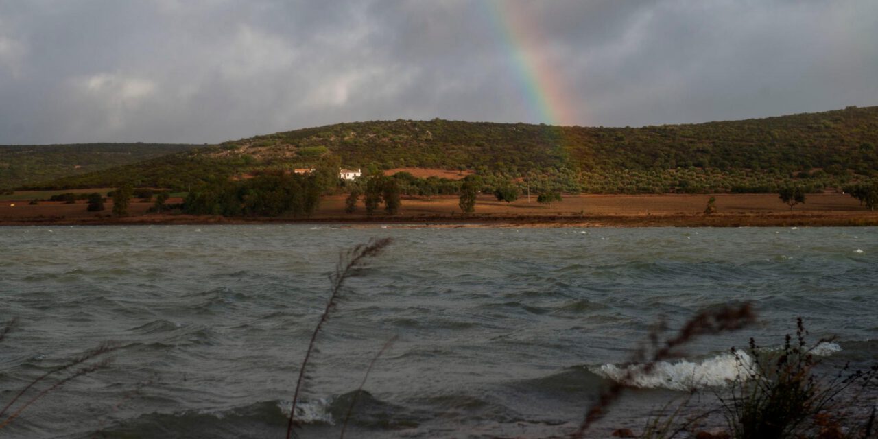 Los embalses de Andalucía recuperan agua durante 7 semanas y alcanzan el 28%