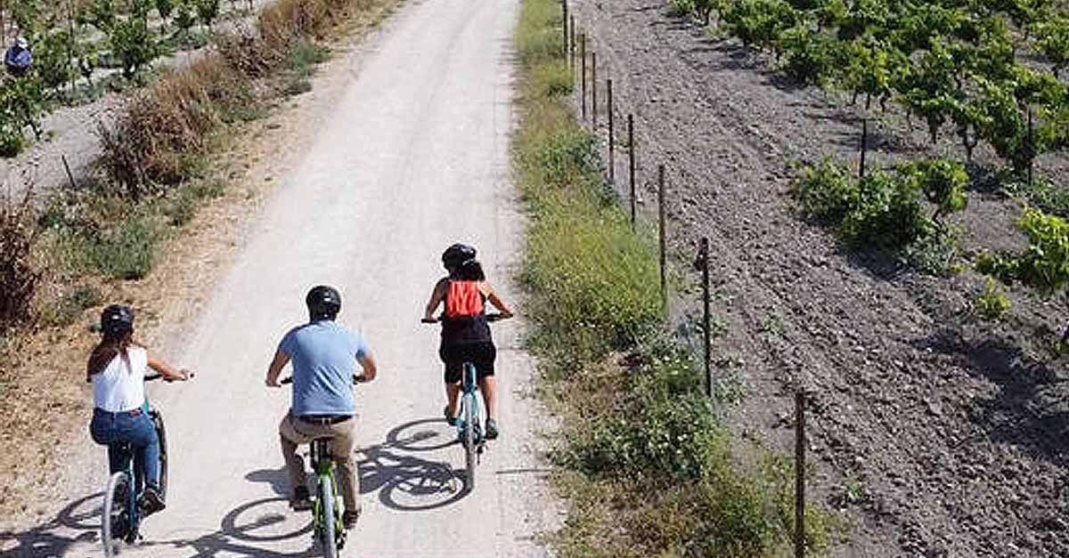 Medio Ambiente propone pedalear entre las viñas desnudas en su primera ruta en bici del 2023