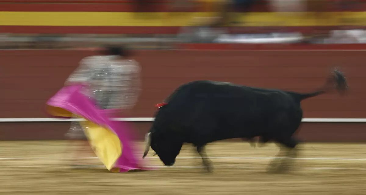 El Gobierno aprueba el Bono Cultural Joven para 2023, que incluye los toros