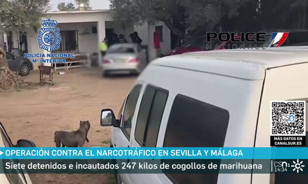 Usaban camiones marroquíes para mandar droga desde Sevilla y Málaga a Francia