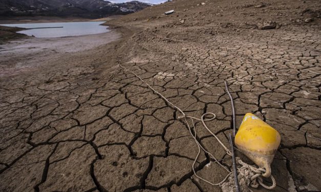 La sequía ya amenaza a los cultivos y la ganadería de toda Andalucía