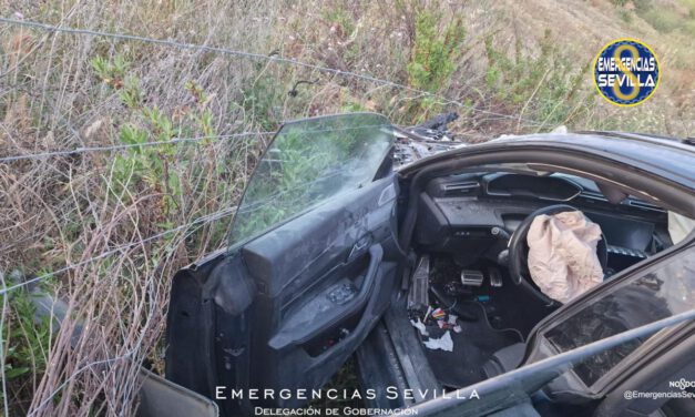 Un conductor ebrio y con antecedentes protagoniza una arriesgada persecución en Sevilla