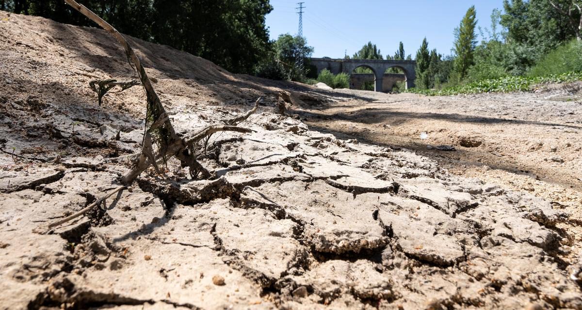 Sin perspectivas de lluvia, la sequía se agudiza en más de media España