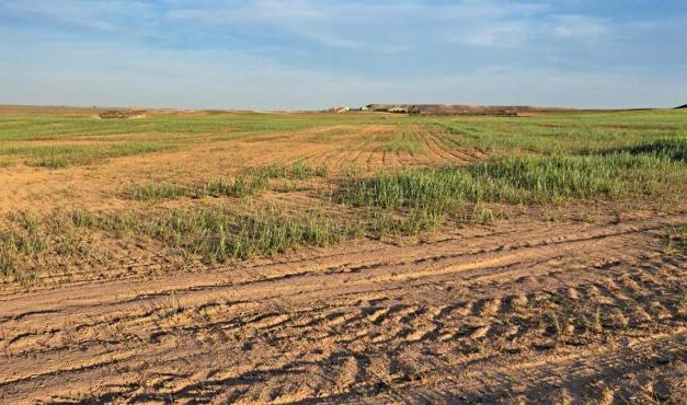 El Gobierno rebaja el 25% en el IRPF para ayudar a 800.000 agricultores y ganaderos