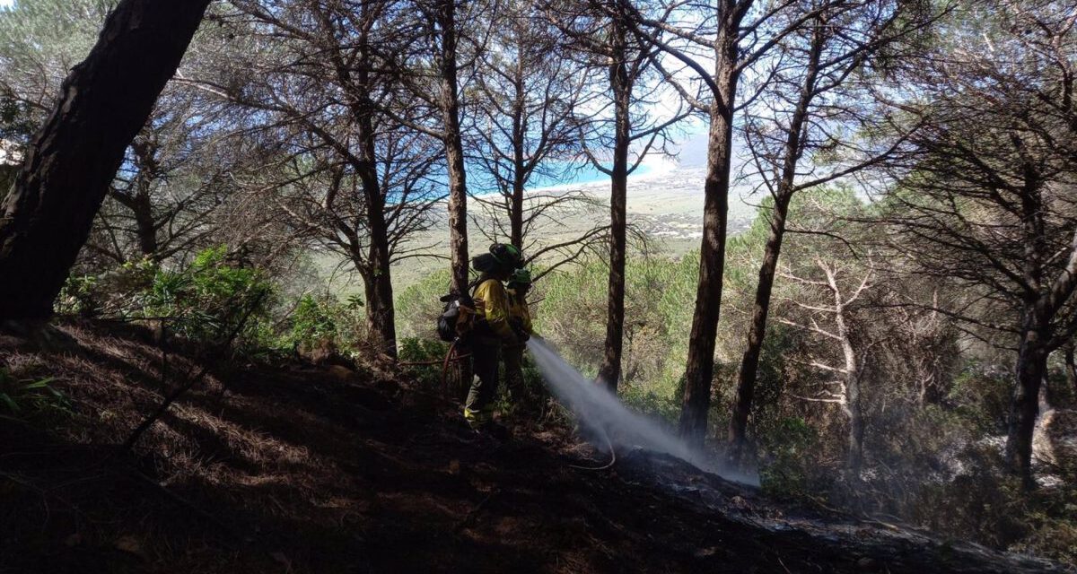 Siguen n los trabajos para controlar el incendio de Tarifa