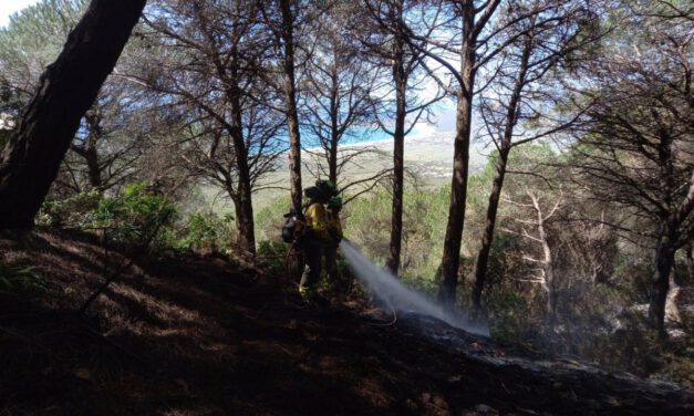 Siguen n los trabajos para controlar el incendio de Tarifa