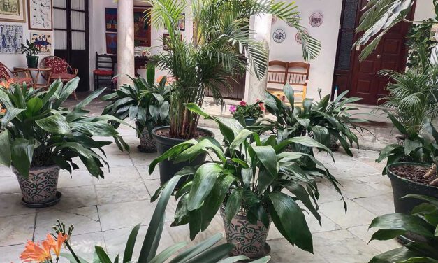 El Puerto disfruta ya de la Fiesta de los Patios Portuenses