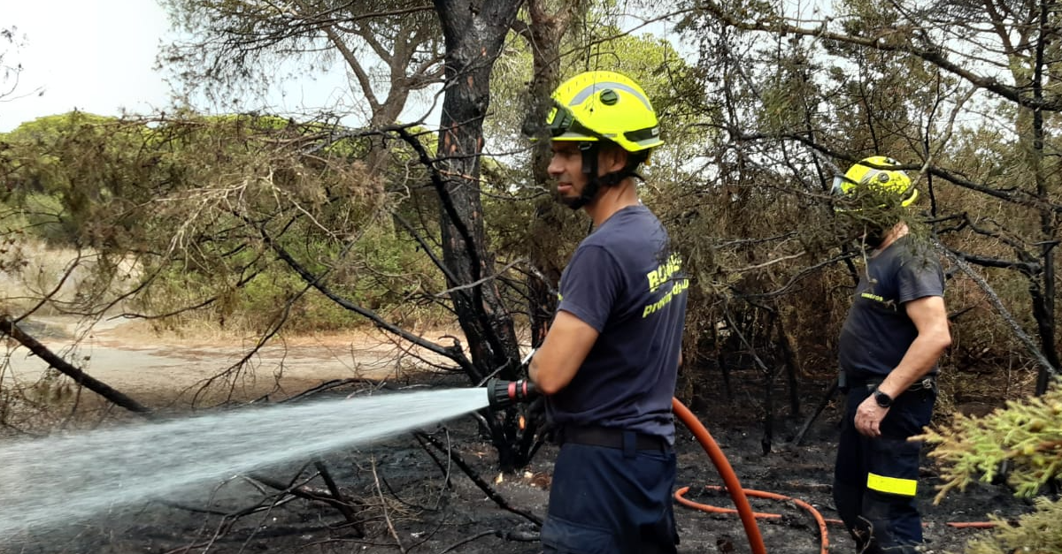 Un incendio en el Tiro Pichón arrasa con 10.000 metros cuadrados de arbolado y pasto