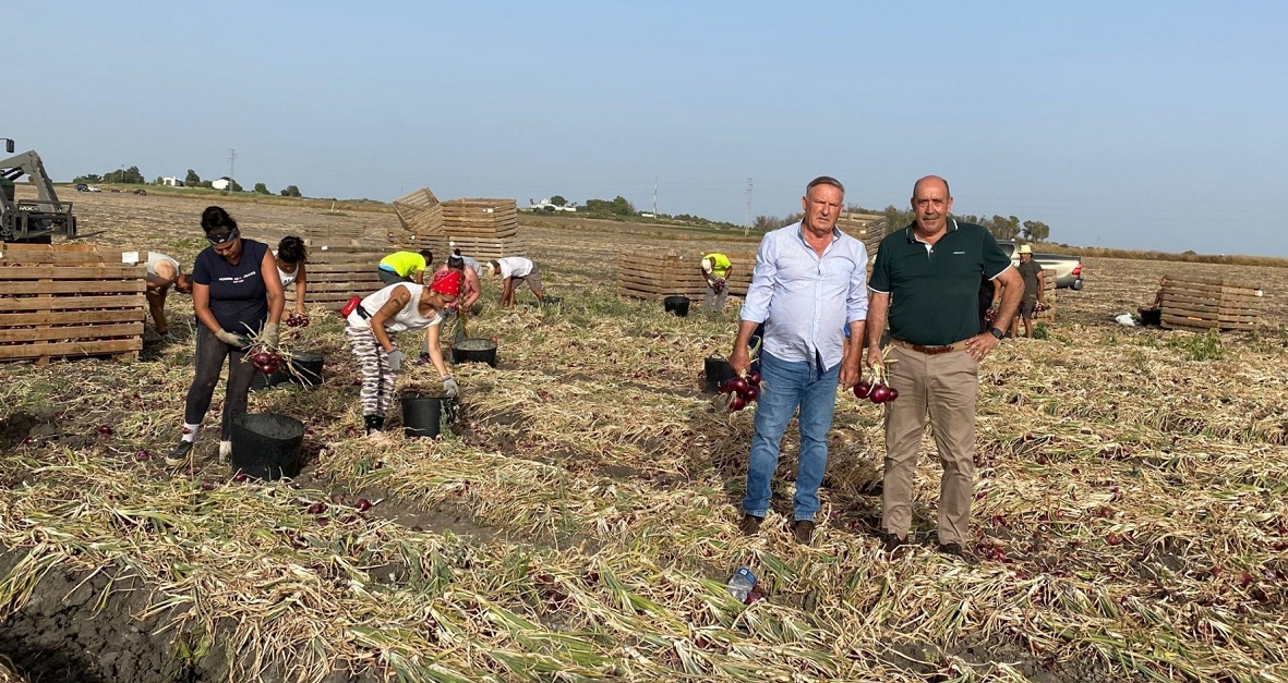 Carmelo Navarro destaca la pujanza del sector agrícola portuense