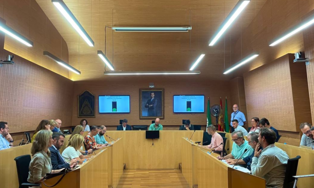 El Pleno aprueba la organización de la Corporación municipal