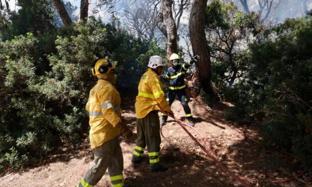 Ascienden a más de 40 los heridos leves por el incendio forestal de Puerto Real