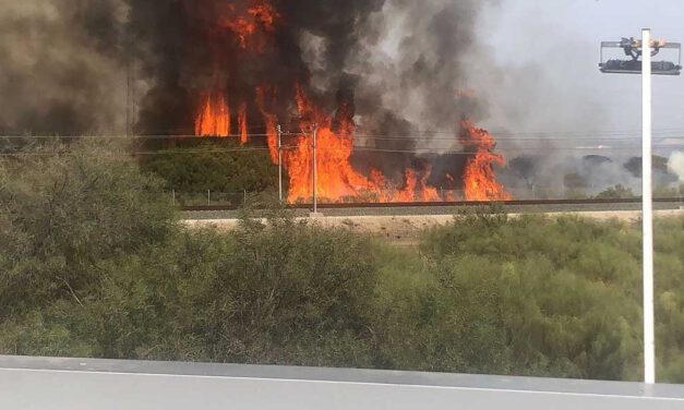 Importante incendio en el Tiro Pichón, en El Puerto de Santa María