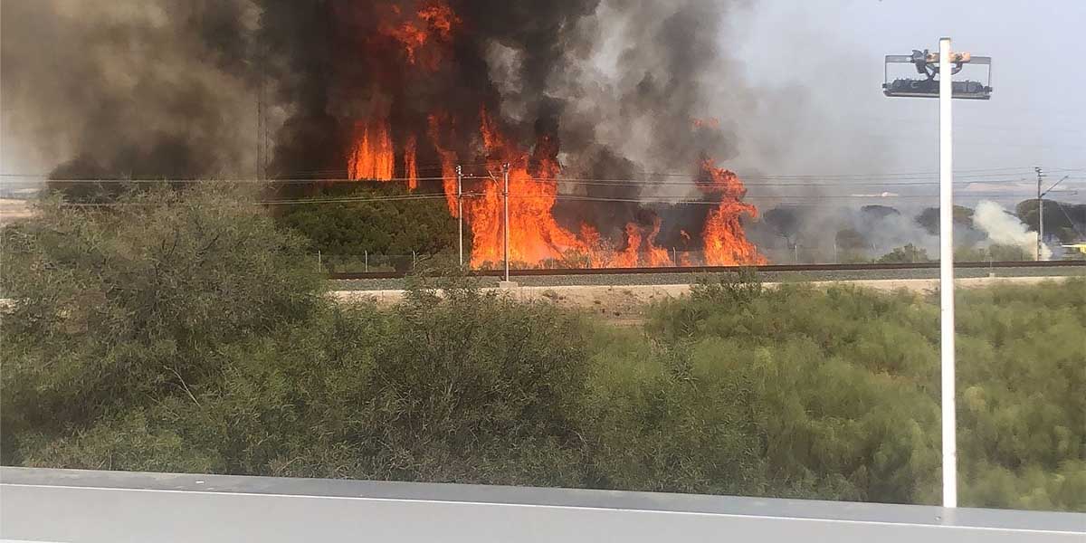Importante incendio en el Tiro Pichón, en El Puerto de Santa María