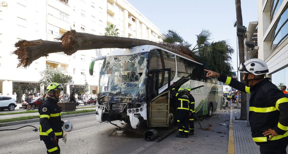 La Universidad de Cádiz pedirá información a la empresa de autobuses tras el accidente con estudiantes de Enfermería