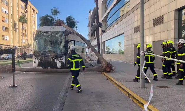 Tres fallecidos y dos heridos graves al ser arrollados por un autobús que perdió el control en la entrada de Cádiz